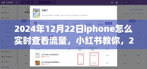 2024年12月22日iPhone實(shí)時查看流量教程，小紅書教你如何輕松監(jiān)控流量消耗