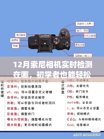 初學(xué)者也能輕松掌握！12月索尼相機(jī)實(shí)時(shí)檢測(cè)功能使用指南