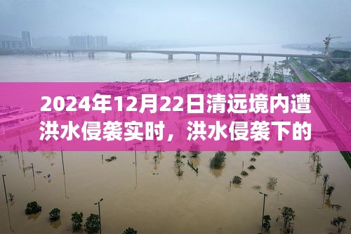 洪水侵襲下的清遠(yuǎn)秘境，美食奇遇與實時報道