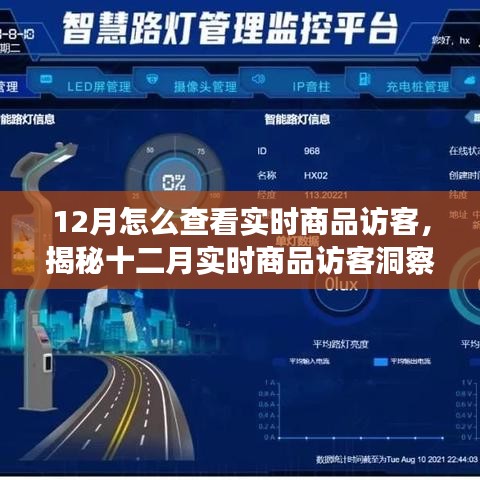 揭秘十二月實(shí)時(shí)商品訪客洞察，洞悉訪客動(dòng)態(tài)與商業(yè)進(jìn)展的秘訣