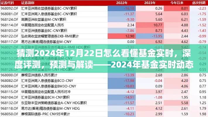 揭秘2024年基金實時動態(tài)洞察系統(tǒng)，深度評測、預(yù)測與解讀的未來趨勢