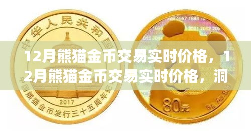 12月熊貓金幣實時交易價格，洞悉市場動態(tài)，把握投資機會