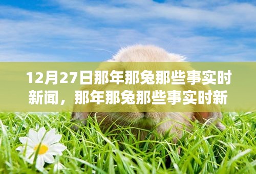 那年那兔時(shí)事新聞追蹤解讀指南，從初學(xué)者到進(jìn)階用戶的步驟指南