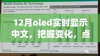 12月OLED中文實(shí)時(shí)顯示，把握變化，點(diǎn)亮未來——展現(xiàn)你的中文魅力