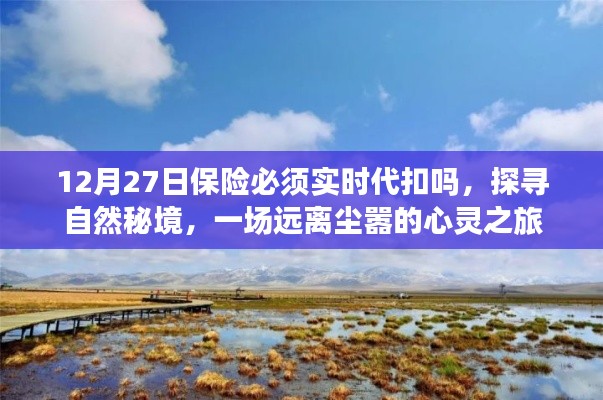 保險代扣與心靈之旅，探尋自然秘境的遠離塵囂之旅