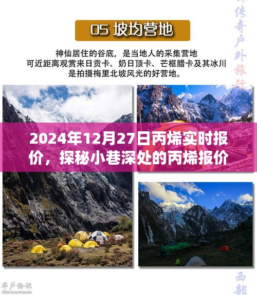 探秘丙烯報價秘境，揭秘2024年12月27日丙烯實時行情與報價深度解析