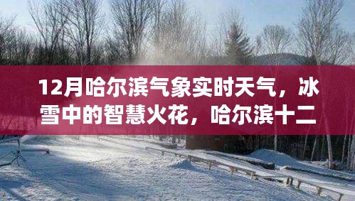 哈爾濱十二月冰雪智慧，氣象實(shí)時(shí)觀察與啟示錄