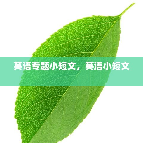 英語專題小短文，英浯小短文 