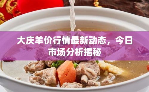 大慶羊價(jià)行情最新動(dòng)態(tài)，今日市場分析揭秘