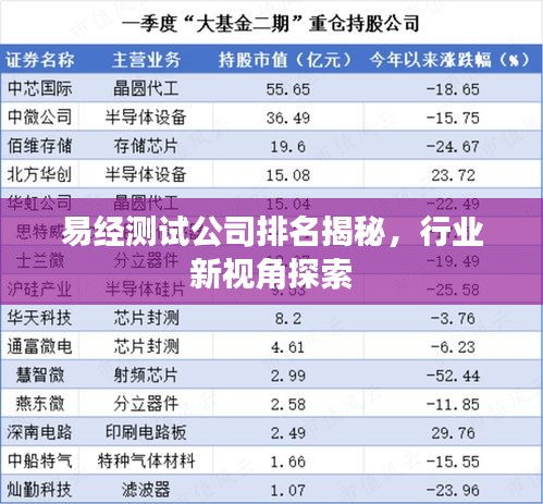 易經(jīng)測試公司排名揭秘，行業(yè)新視角探索