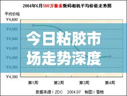 今日粘膠市場走勢深度解析，最新行情報告