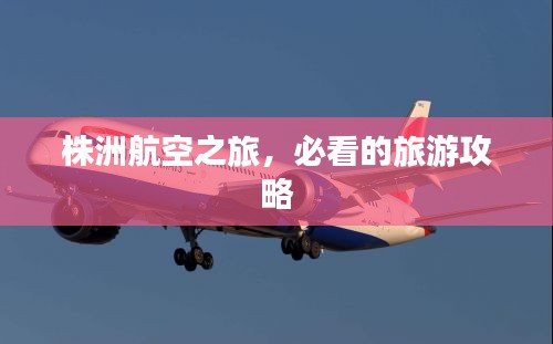 株洲航空之旅，必看的旅游攻略