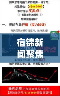 宿錦新聞聚焦時事熱點，解讀地方發(fā)展新動態(tài)