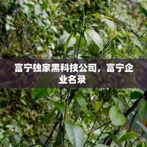 富寧獨(dú)家黑科技公司，富寧企業(yè)名錄 