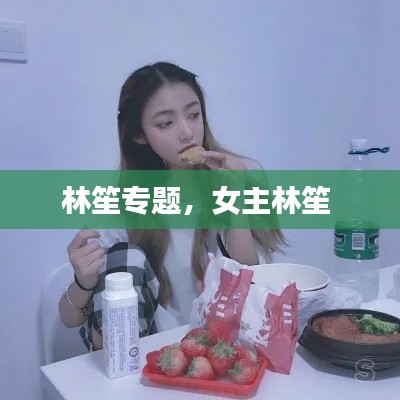 林笙專題，女主林笙 