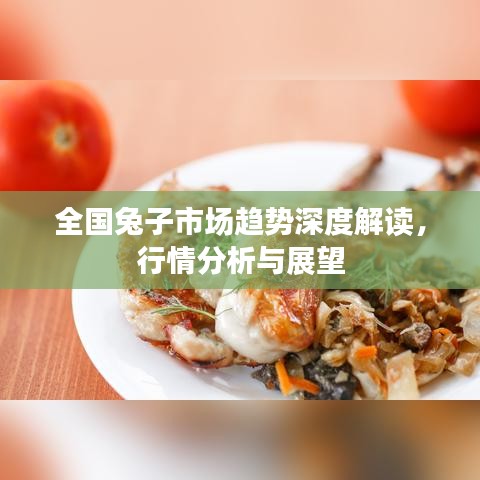 全國兔子市場趨勢深度解讀，行情分析與展望