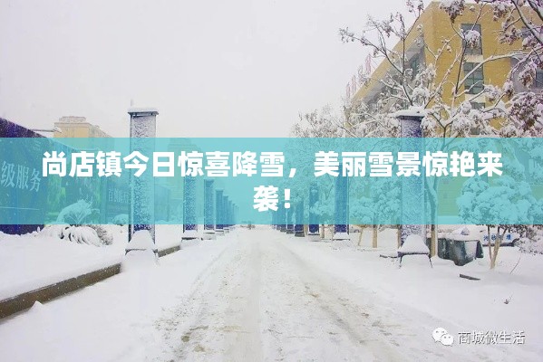 尚店鎮(zhèn)今日驚喜降雪，美麗雪景驚艷來襲！