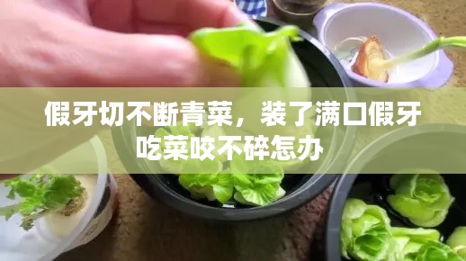 假牙切不斷青菜，裝了滿口假牙吃菜咬不碎怎辦 