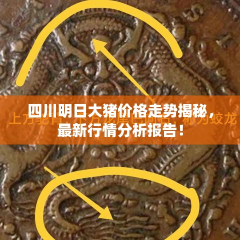 四川明日大豬價(jià)格走勢揭秘，最新行情分析報(bào)告！