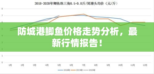 防城港鯽魚(yú)價(jià)格走勢(shì)分析，最新行情報(bào)告！