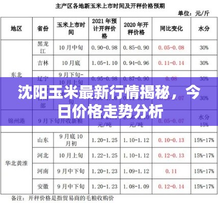 沈陽玉米最新行情揭秘，今日價格走勢分析