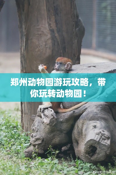 鄭州動物園游玩攻略，帶你玩轉(zhuǎn)動物園！