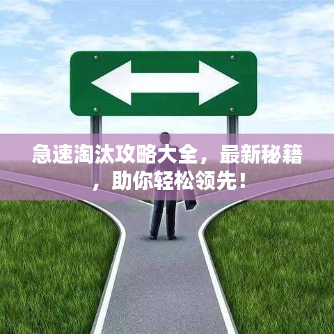 急速淘汰攻略大全，最新秘籍，助你輕松領(lǐng)先！