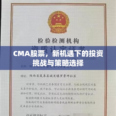 CMA股票，新機(jī)遇下的投資挑戰(zhàn)與策略選擇