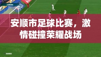 安順市足球比賽，激情碰撞榮耀戰(zhàn)場