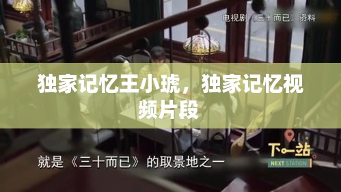 獨家記憶王小琥，獨家記憶視頻片段 