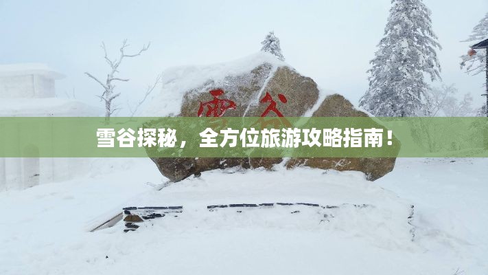 雪谷探秘，全方位旅游攻略指南！