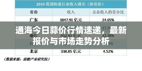 通海今日蒜價行情速遞，最新報價與市場走勢分析