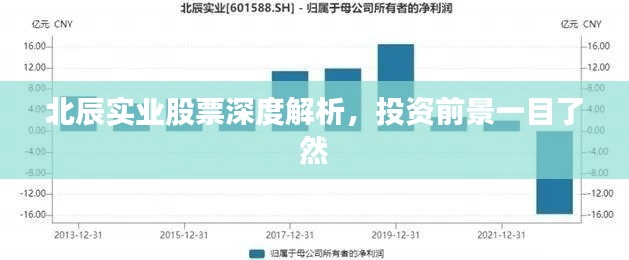 北辰實(shí)業(yè)股票深度解析，投資前景一目了然