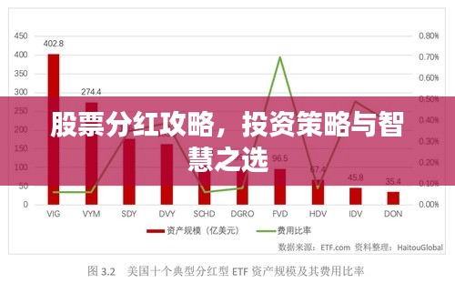 股票分紅攻略，投資策略與智慧之選