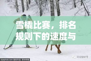 雪橇比賽，排名規(guī)則下的速度與激情角逐