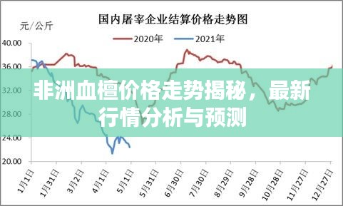 小心翼翼