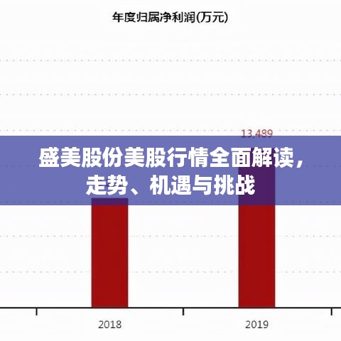 盛美股份美股行情全面解讀，走勢(shì)、機(jī)遇與挑戰(zhàn)