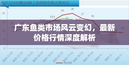 廣東魚類市場風云變幻，最新價格行情深度解析