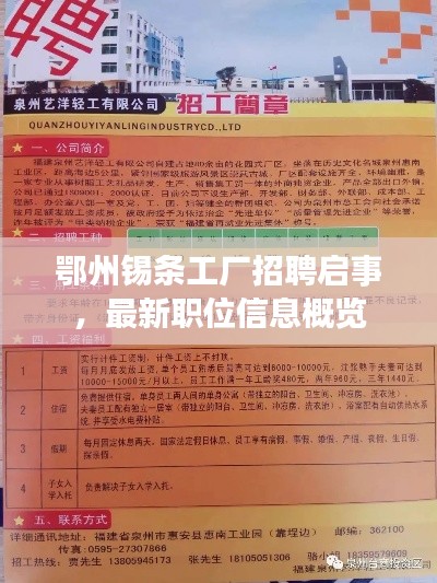 鄂州錫條工廠招聘啟事，最新職位信息概覽