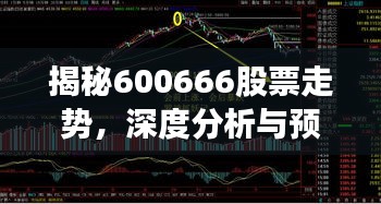 揭秘600666股票走勢，深度分析與預測