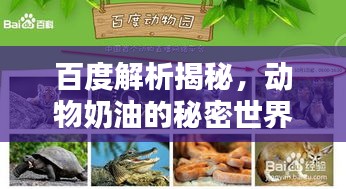 百度解析揭秘，動物奶油的秘密世界！