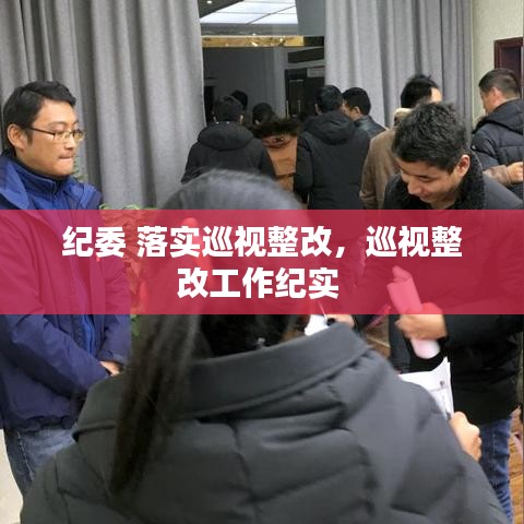 紀委 落實巡視整改，巡視整改工作紀實 