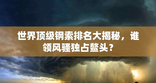 世界頂級鋼索排名大揭秘，誰領風騷獨占鰲頭？