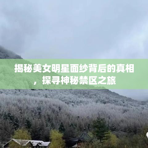 揭秘美女明星面紗背后的真相，探尋神秘禁區(qū)之旅