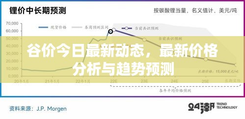 谷價今日最新動態(tài)，最新價格分析與趨勢預測