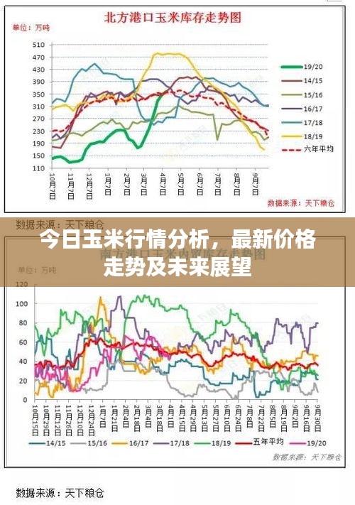 今日玉米行情分析，最新價格走勢及未來展望