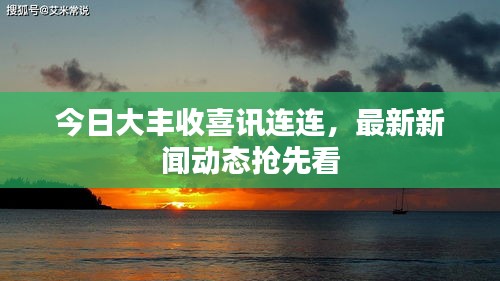 今日大豐收喜訊連連，最新新聞動態(tài)搶先看