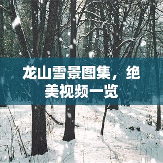 龍山雪景圖集，絕美視頻一覽