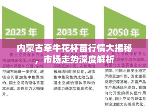 內(nèi)蒙古牽?；ū缧星榇蠼颐?，市場走勢深度解析