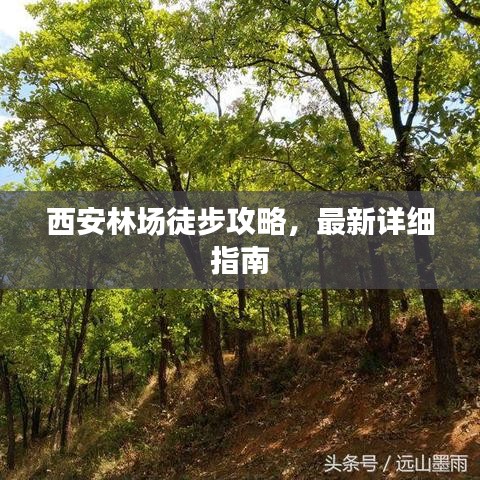 西安林場徒步攻略，最新詳細指南